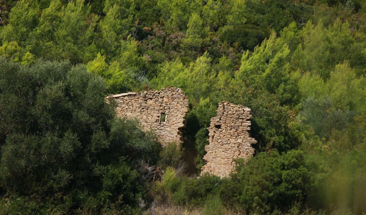 Simple Home La Cadiere-d'Azur Zewnętrze zdjęcie